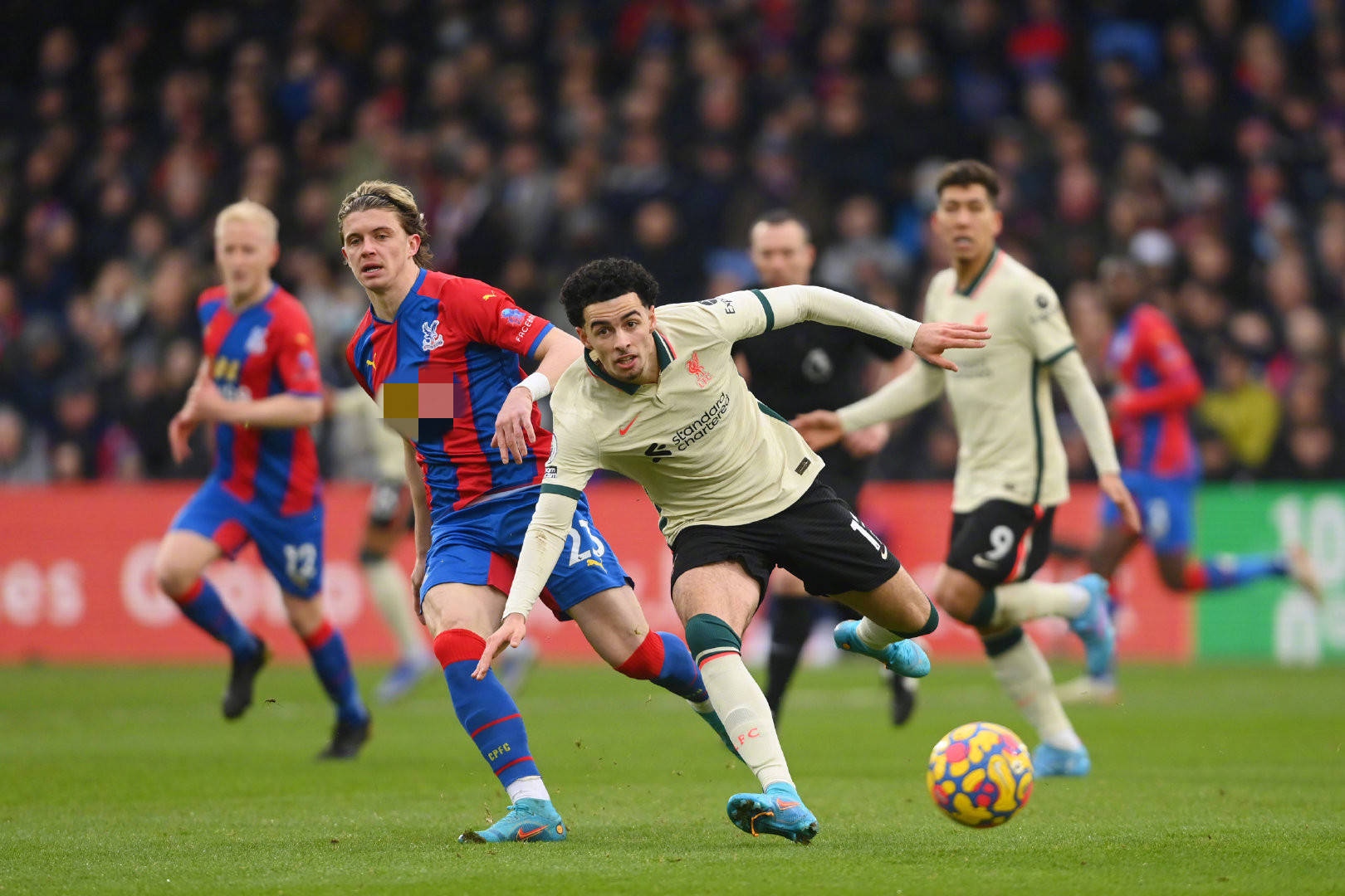 的轉會選擇 的轉會選擇